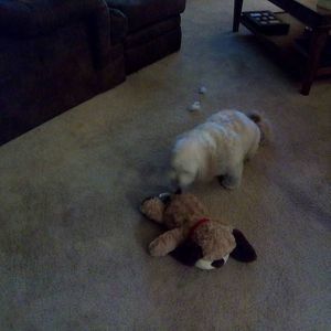 Meet your Posher, Dana